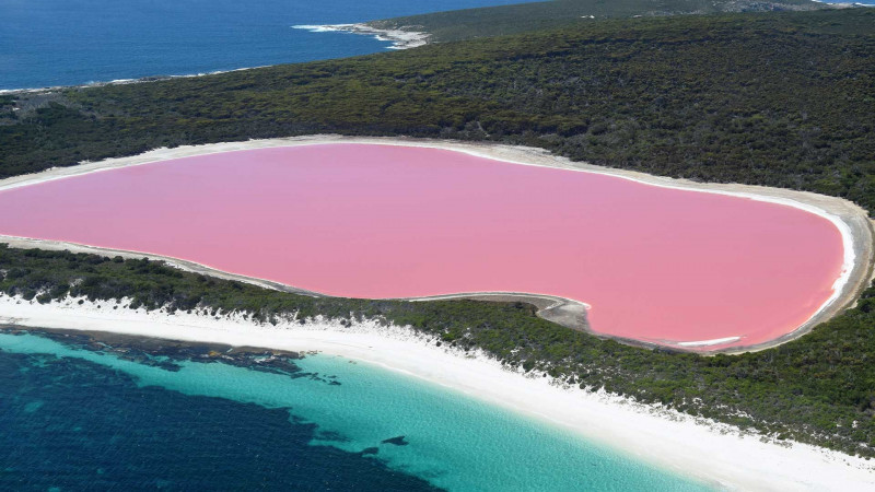 lago-rosa-australia