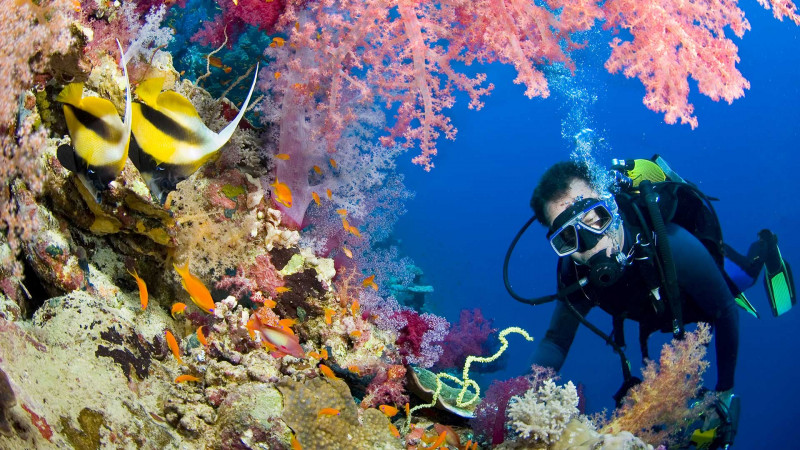 mergulho-barreira-corais