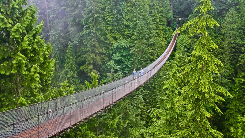 ponte-floresta-canada