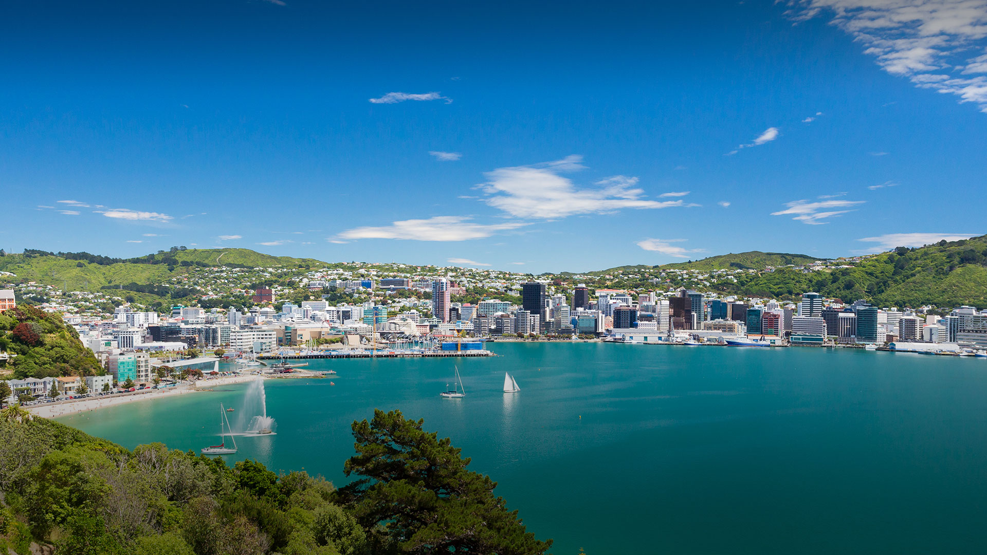 Intercâmbio em Wellington Nova Zelândia